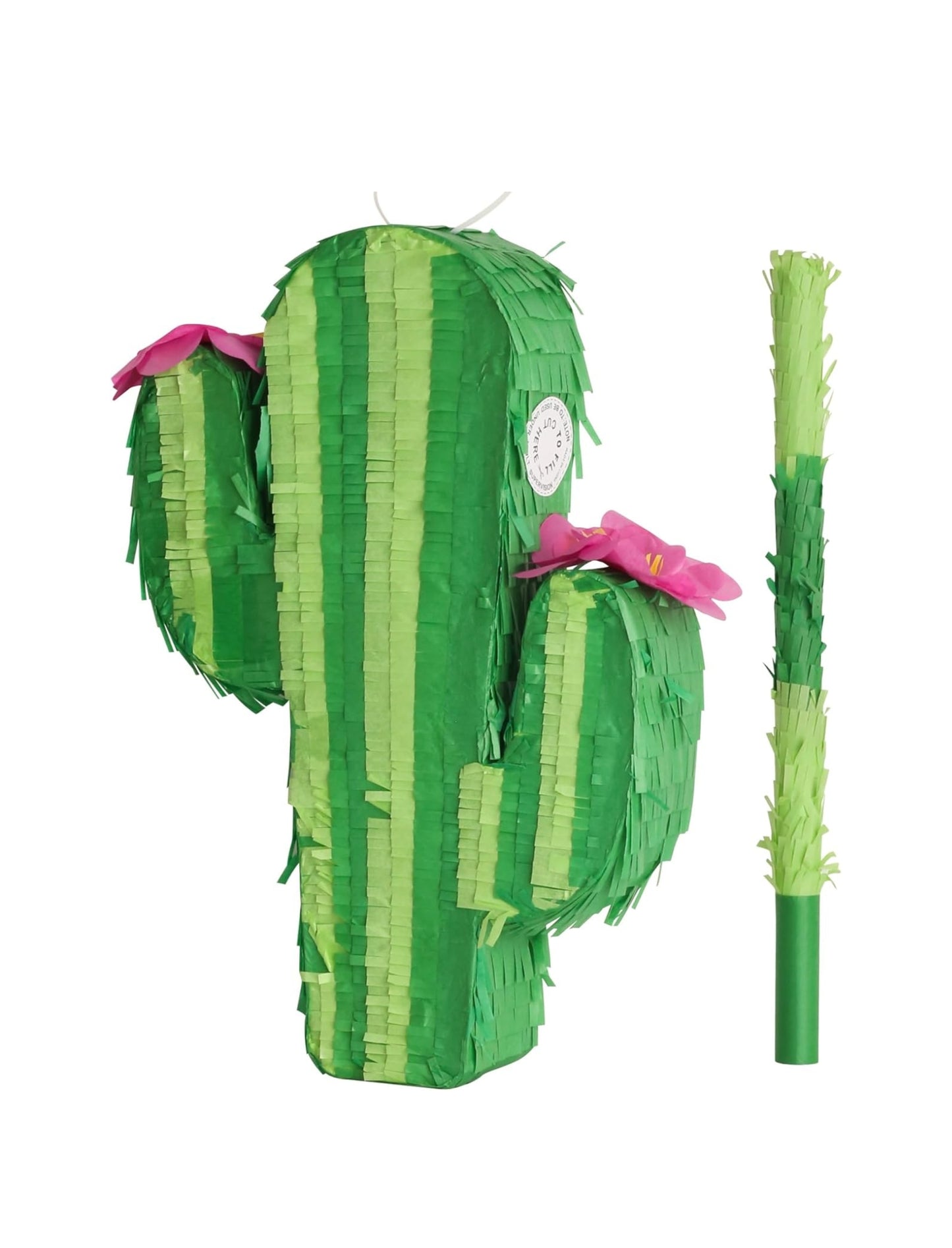 Cactus Piñata