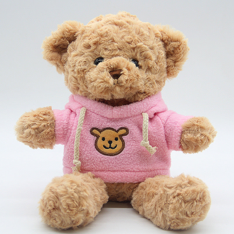 Teddy Bear Plush Toy