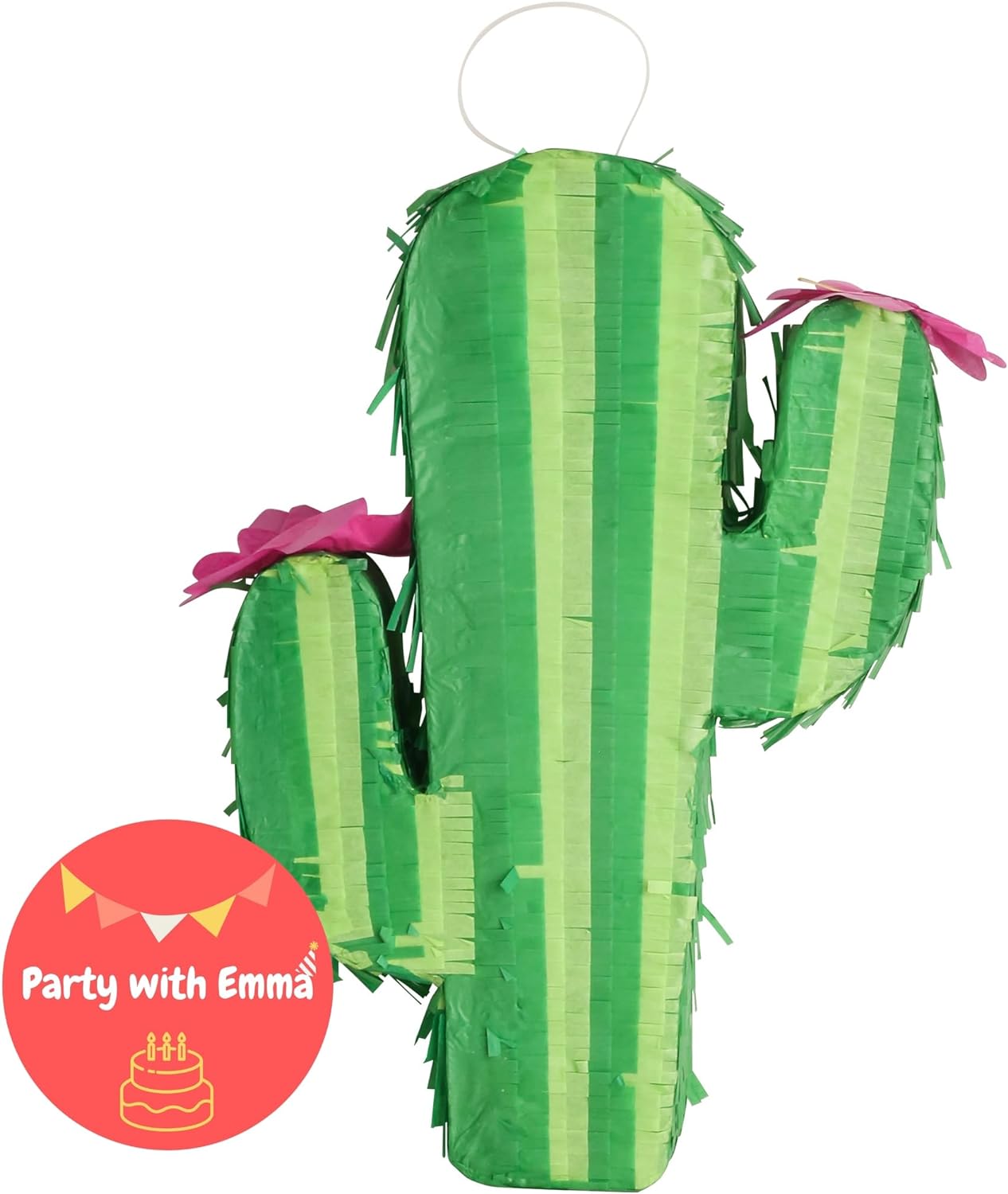 Cactus Piñata