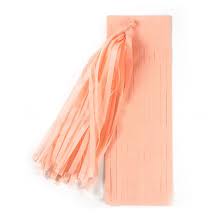Multipurpose Tassel Garland – Perfect for Balloons & Decorations