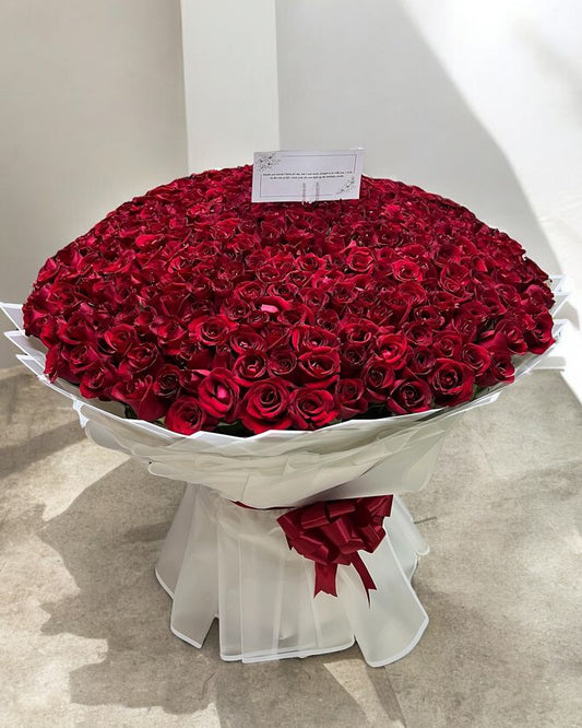 Red Roses - Floral Fresh Bouquet