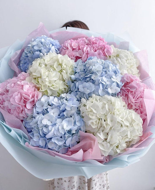 White, Pink, Blue Hydrangea - Floral Fresh Bouquet