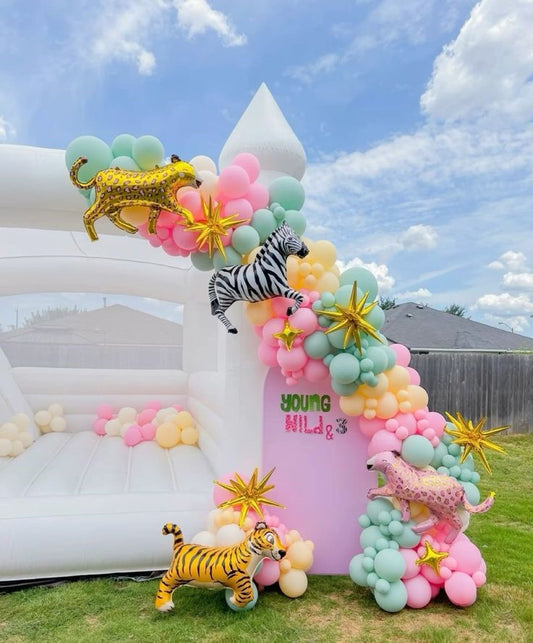 Bouncing Castle Rental 4x4m with Pit Balls and Balloon Decor Pink, Mint Green and Yellow with Gold Starburst, Customize Backdrop and Animal Balloons accents - Perfect for Birthday!